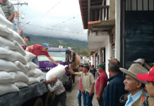 Impulso a la caficultura: optimizan producción de café en el estado Trujillo con entrega de fertilizante