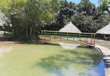 Rutas con sabor ancestral: Inatur validó circuitos turísticos y gastronómicos en Caño Grulla, estado Amazonas