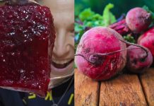 La receta viral: gelatina de chía y remolacha, rica en colágeno y aliada contra la anemïa (+ Detalles)