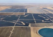 China está convirtiendo el desierto en un oasis: domestican la desertificación con paneles solares (+ Detalles)