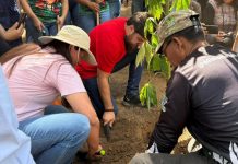 Jornada de reforestación en Maturín impulsa la preservación del medio ambiente: más de 600 árboles de los mil como meta fueron plantados (+ Fotos)