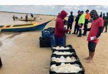 Venezuela impulsa exportación de medusa hacia China optimizando la actividad productiva del país