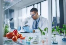 Del guisante al laboratorio: las nuevas proteínas que revolucionan tu plato, en el Día Mundial de la Alimentación