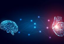 Estudio alemán revoluciona la salud: Cada latido del corazón influye en la mente y revela un «estado cerebro-cuerpo» único (+ Detalles)