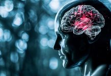 La ciencia revela el secreto de una mente fuerte: La reserva cognitiva se construye toda la vida (+ Detalles)