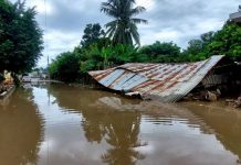 Trägëdia en México: Lluvias dejan 76 fällecïdøs y 39 desäparecidös en cinco estados (+ Detalles)