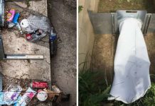 Inventor francés desarrolla un sistema que captura hasta el 80% de los residuos antes de que lleguen al mar (+ Detalles)