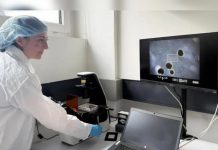 Científicos avanzan hacia la hibridación entre neuronas humanas y computación para datos vivos innovadores