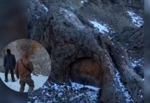 Exploradores descubren en las montañas Dzungarian Alatau de Kazajistán una formación rocosa que parece una puerta gigante a un lugar desconocido