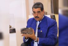 Venezuela celebra un descubrimiento histórico: hallan fósil de Ictiosaurio bebé en Táchira, este sería el primer registro en el país (+ Fotos)