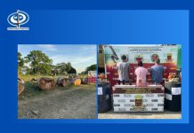 Tres hombres fueron privâdos de libertad en el Zulia por tala ilęgal de saman y cõnträbando de combustible, informó el Fiscal General Tarek William Saab