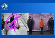 Detęnido sujeto en Apure por zøofilia: Fiscal Tarek William Saab confirma apręhensión de tras abusâr de un perro en vía pública