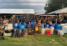 General en jefe Domingo Hernández Lárez lidera operativo que destrüye campamento del närcøtráficø en Apure