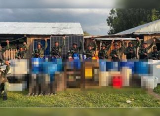 General en jefe Domingo Hernández Lárez lidera operativo que destrüye campamento del närcøtráficø en Apure