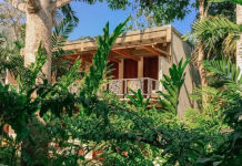 Casa Bevequé: El paraiso que combina la magía del caribe, la selva y los rios en Choroní (+ Fotos)