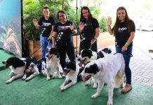 Misión Nevado reinauguró Centro Veterinario Integral en Caracas y recibió 15 unidades móviles para la atención animal