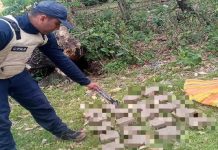 Operativo táctico del CPNB en Apure concluye con la incautación de un importante alijo de drogÄs (+ Detalles)