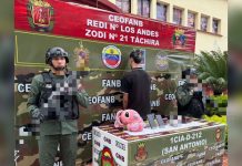 GNB detuvo a sujeto por ocultar un arm@ traümática dentro de un peluche Stitch en el estado Táchira
