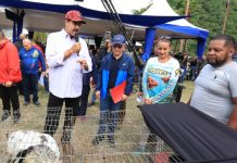 Presidente Maduro impulsa el Plan Comunal del Café 2025 – 2026 desde el estado Portuguesa (+ Detalles)
