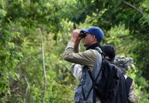 Expertos de Guatemala, El Salvador y Colombia llegan a Mérida para compartir su visión en el Primer Congreso Mundial de Aviturismo