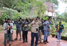 Biodiversidad inigualable: Venezuela continúa líder en el ranking mundial de avistamiento de aves