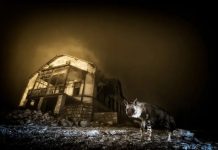Marco perfecto: Una hiena parda en ruinas mineras gana el premio a Mejor Fotógrafo de Vida Silvestre del Año