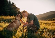 Perros y humanos comparten el secreto del envejecimiento: Identifican marcadores sanguínêos clave en el Dog Aging Project