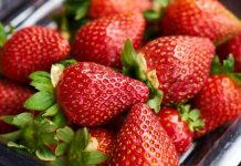 Conoce cómo tus fresas se mantendrán rojas y frescas por más tiempo con productos que todos tenemos en casa