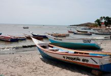 Motores de última generación para pescadores venezolanos: Parsun Power Machine se asocia con el ministerio de Pesca y Acuicultura