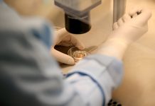 Óvulos humanos creados con células de la piel: el revolucionario hallazgo que podría acabar con la infertilïdad (+ Detalles)