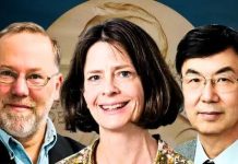 Tres científicos ganan el Premio Nobel de Medicina por explicar cómo el cuerpo se protege de sí mismo (+ Detalles)