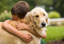 ¿Adiós al asmä? Estar rodeado de perros en la infancia reduce el riesgø en un 48%