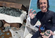 ¡Millón de dólares recuperados! Monedas de oro y plata resurgen de naufragio español de 1715 en Florida (+ Detalles)