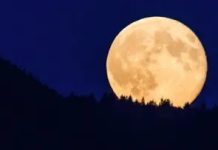 El cielo nocturno se viste de gala: La primera superluna del año iluminará el cielo esta noche