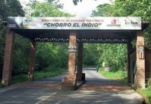 Táchira lidera el aviturismo: Chorro del Indio recibe aprobación como primer parque interactivo de avistamiento de aves (+ Detalles)