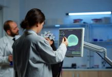 Científicos descubren que un compuesto natural ayuda al cerebrø a sanar después de un ACV