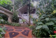 Descubre el Bugparadise de Casa María: Cientos de colibríes, vistas 360° y excursiones 4×4 en Canoabo (+ Fotos)