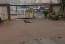 Alërta en Carabobo: Fuërtes lluvias provocan arrästre de sedimentos en El Trigal (+ Video)