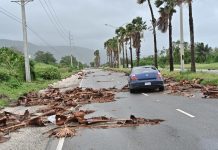 Autoridades de Jamaica se enfocan en reabrir carreteras principales y atender la salud pública tras el huräcán Melissa