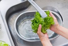 ¿Por qué todos los chefs rociarán vinagre en tu lechuga antes del desayuno? Descubre el secreto