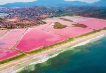 Pampatar, el «pueblo de sal»: descubre la inigualable belleza de sus salinas, un humedal vital para la biodiversidad y la economía local (+ Fotos)