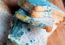 Alimento pasado vs alimento con moho: esto es lo que debes saber para no poner en riesgÖ tu salud y cuándo debes desechar ciertas comidas