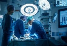 Revolución médica: científicos desarrollan un riñón universal que podría eliminar las barreras de compatibilidad sanguínea