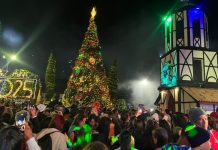 La Colonia Tovar da la bienvenida oficial a la navidad con un vibrante encendido de luces que reúne a familias y turistas (+ Fotos)