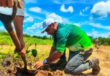 Un pulmón verde de 4.800 ejemplares: Ministerio de Ecosocialismo adelanta jornada de reforestación en Anzoátegui