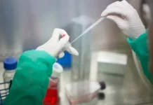 Científicos desarrollan una vía que convierte al tümor en su propio enemïgo: se autodëstruyen al activar su propia respuesta inmunitaria