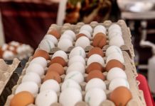 Hong Kong suspende importaciones de pollo y huevos de seis países europeos por propagación de gripë avi@r