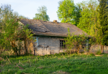 Una familia pierde la custodia de sus hijos tras elegir vida autosuficiente en bosque de Italia
