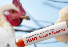 Francia anuncia hasta 4 millones de euros para ayudar a los afectados por la gripË avi@r