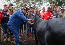 Municipios de Monagas iniciaron campaña de vącunación contra la fiebre aftosa: 25 mil vącunas serán entregadas para el desarrollo agroproductivo (+ Fotos)